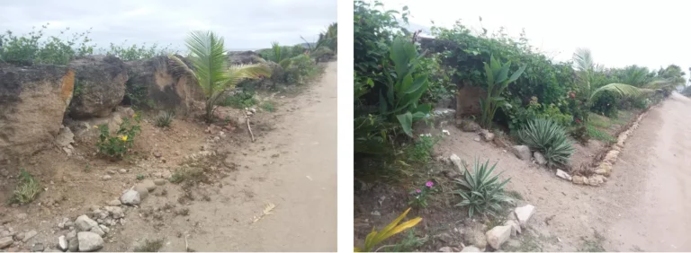 before and after 768x282